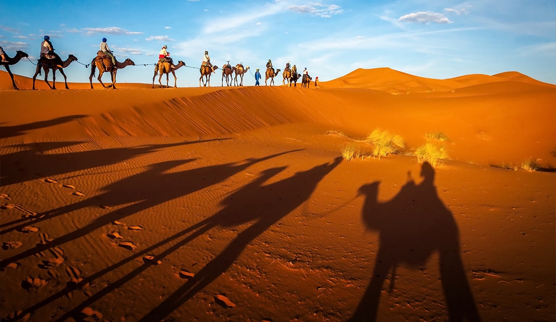 htt-business-group-africa-travel-sahara-dessert